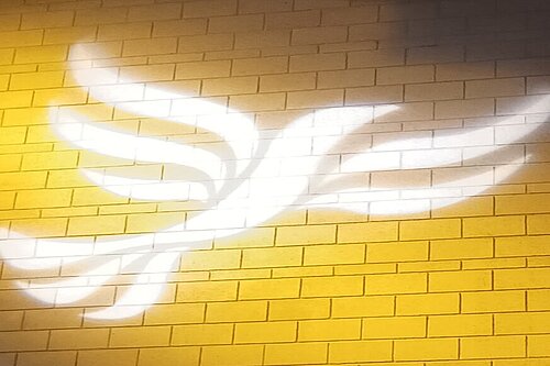 Cambridgeshire Lib Dems challenge Conservatives: help us make sure all children get fed this Christmas Lib Dem logo bird projected on blockwork